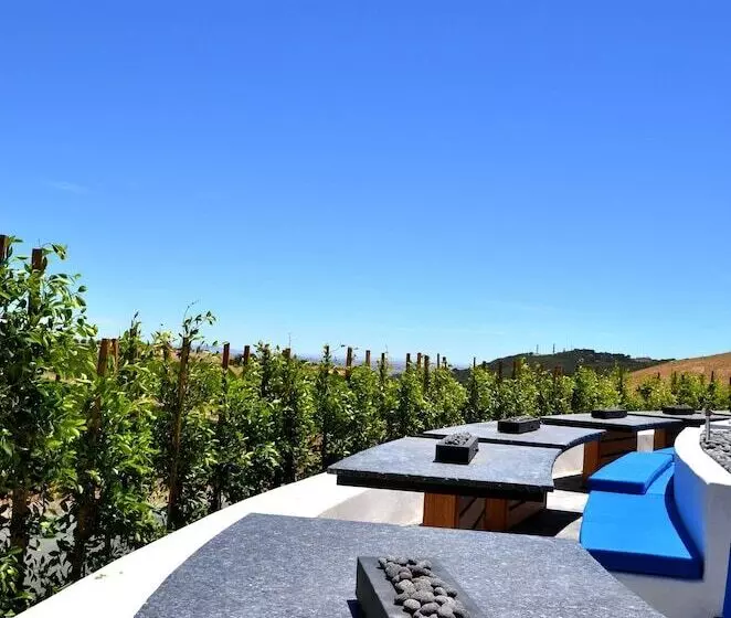 ベッドアンドブレックファースト Sirena Vineyard Resort