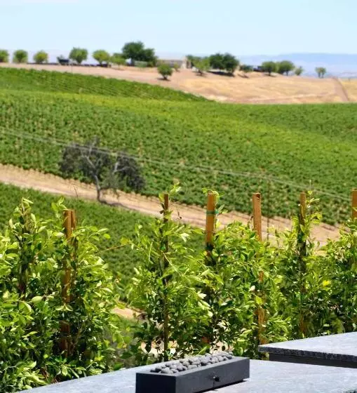 ベッドアンドブレックファースト Sirena Vineyard Resort