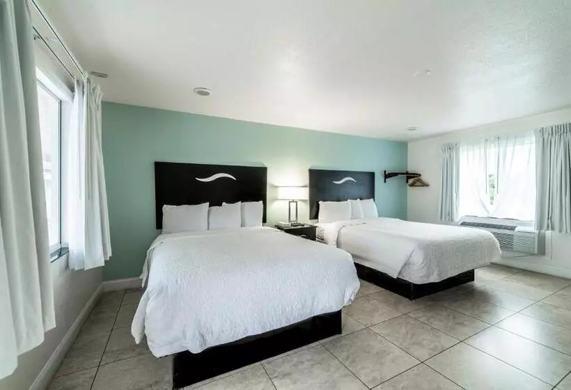 Everglades City Motel   Everglades Adventures Inn