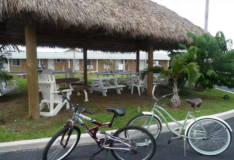 Everglades City Motel   Everglades Adventures Inn