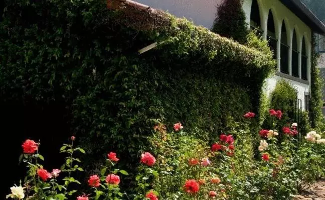 Hotelli Spanish Villa Inn