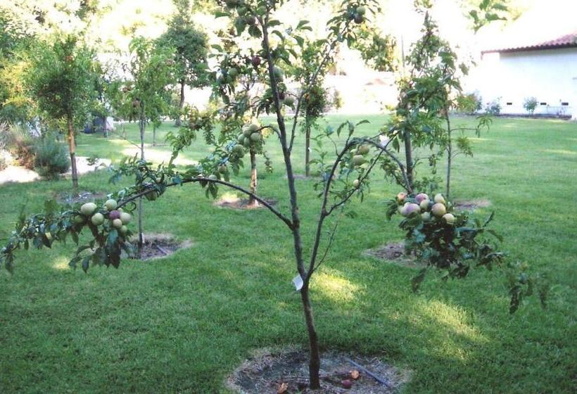 酒店 Spanish Villa Inn