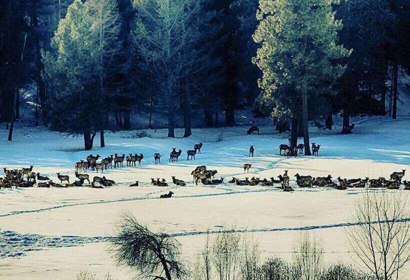 מוטל Eldorado Inn Baker City