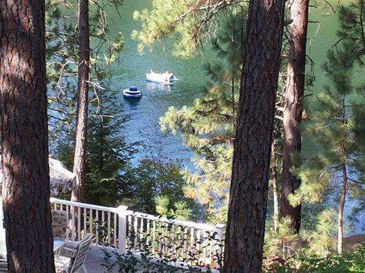 River Cove Elegant Waterfront Bed & Breakfast