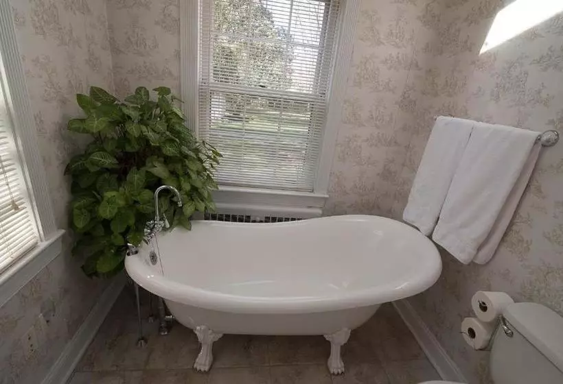 Stafford House Bed & Breakfast