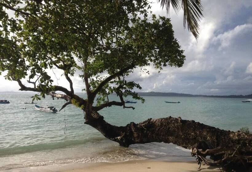 Hostel Nyang Ebay Surf Camp