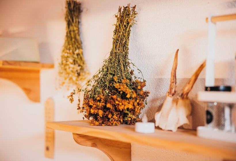 هاستل Plis Room Old Bazaar