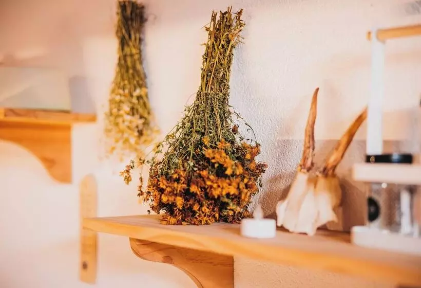 هاستل Plis Room   Old Bazaar