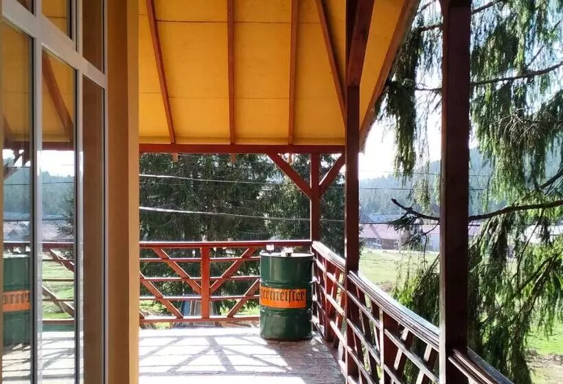 Hotelli Pensiunea Cabana Art