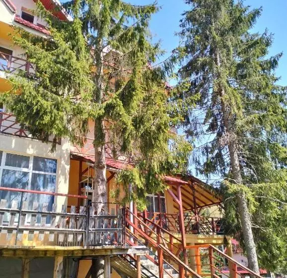 Hotelli Pensiunea Cabana Art