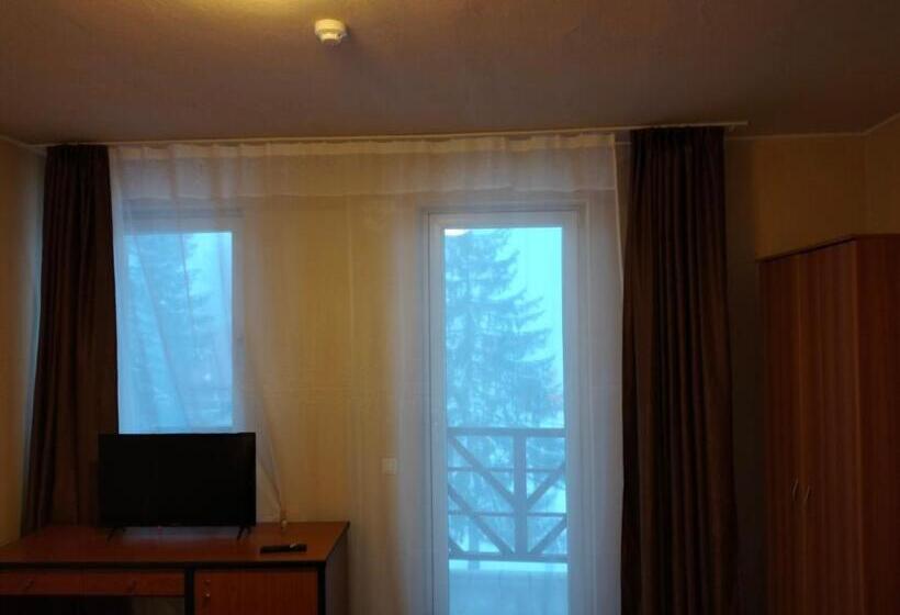 هتل Pensiunea Cabana Art