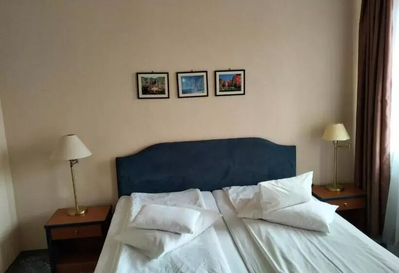 Hotelli Pensiunea Cabana Art