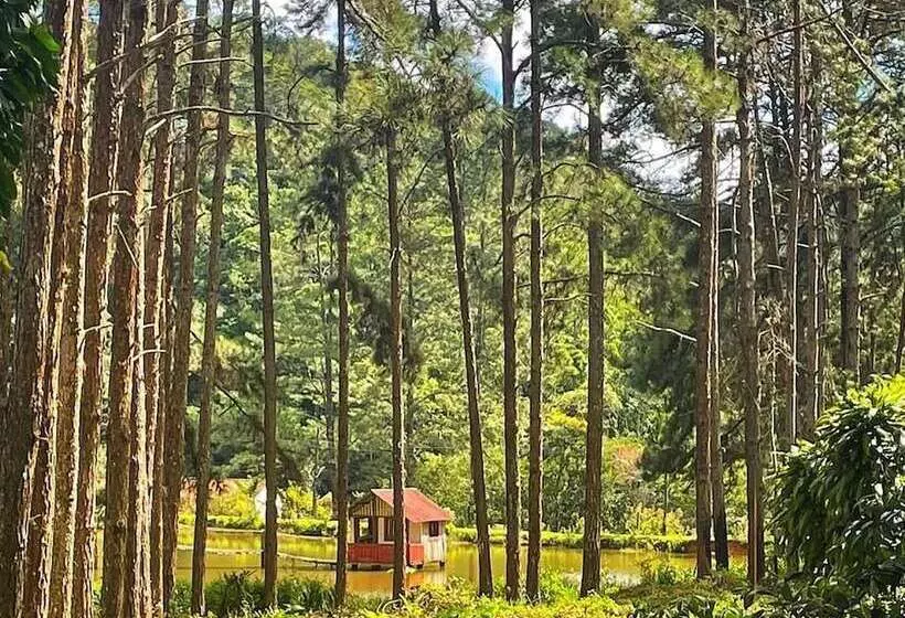 Maaseutuhotelli Fazenda Rancho Mineiro