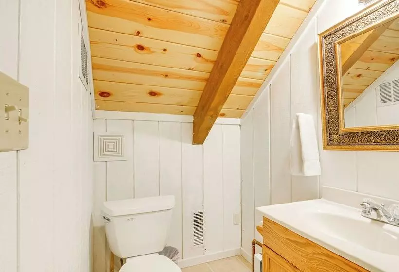 Dream Catcher In Pagosa Springs Pet Friendly!