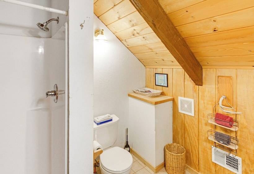 Dream Catcher In Pagosa Springs Pet Friendly!