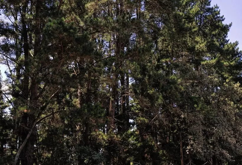 ホテル A Leira 116 Cabañas De Diseño