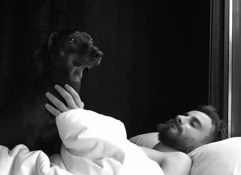 ホテル A Leira 116 Cabañas De Diseño