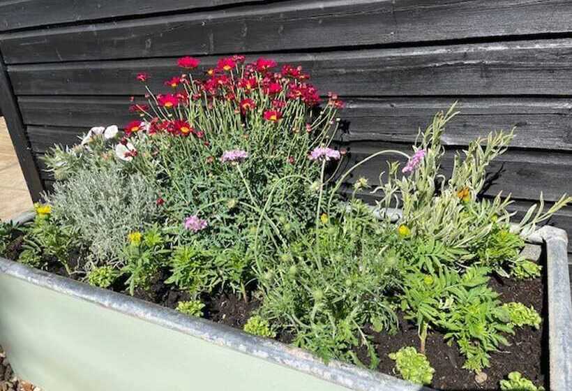 Сельский отель Remarkable 2 Bed Barn In Downham Market