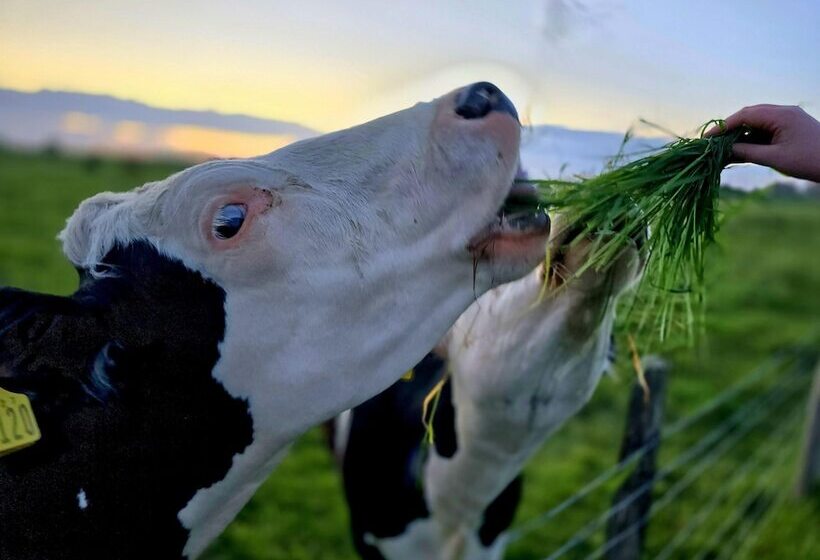 فندق Stunning Brand New 2024 Sunset Lodge, Whitstable