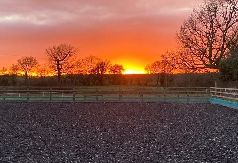 Lovely 1 Bed Cottage In Mendlesham Green
