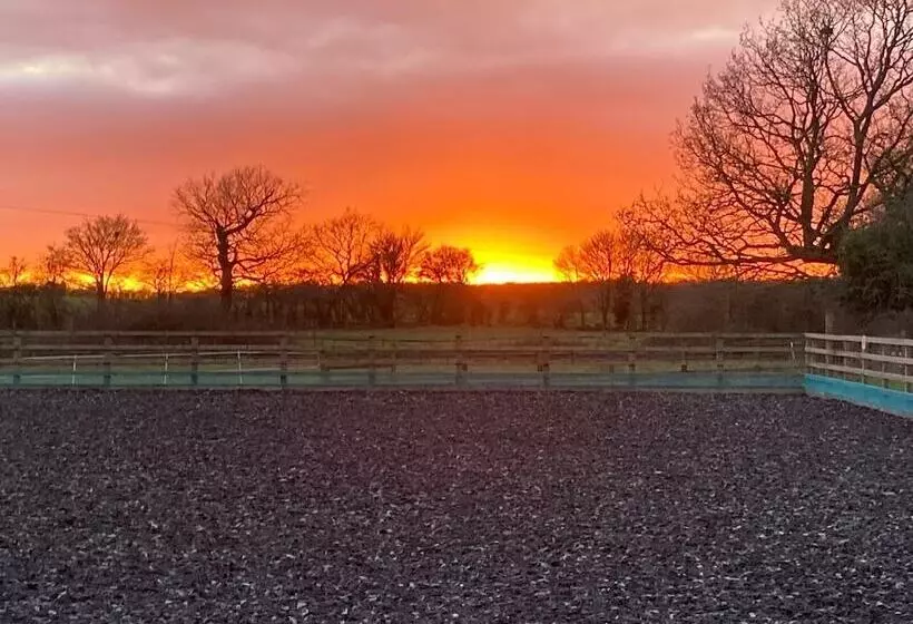 Lovely 1 Bed Cottage In Mendlesham Green