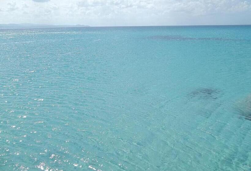 レジデンス Bosa Marina Fronte Mare