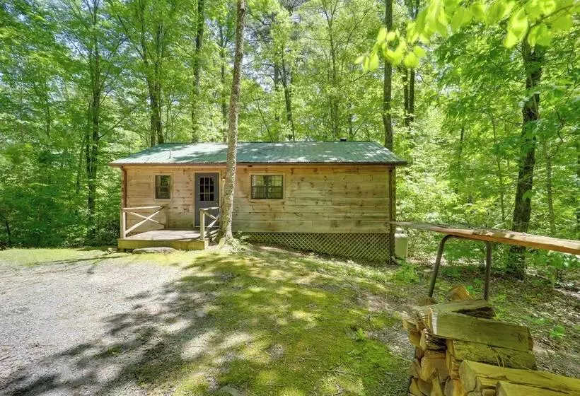 Hot Tub & On Site Trails: Secluded Marion Cabin