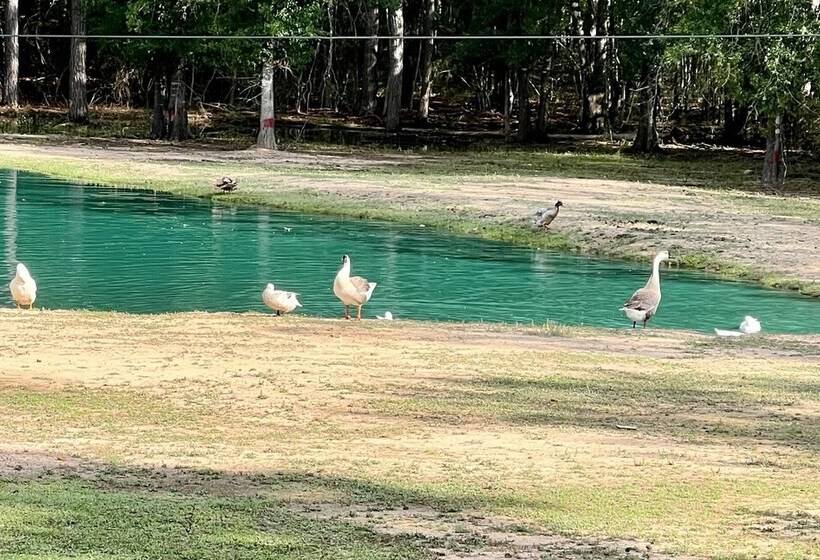 Stunning 1 Bed Glamping Tent In Cleveland