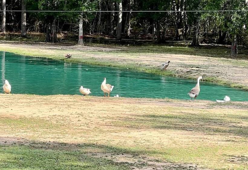 Stunning 1 Bed Glamping Tent In Cleveland