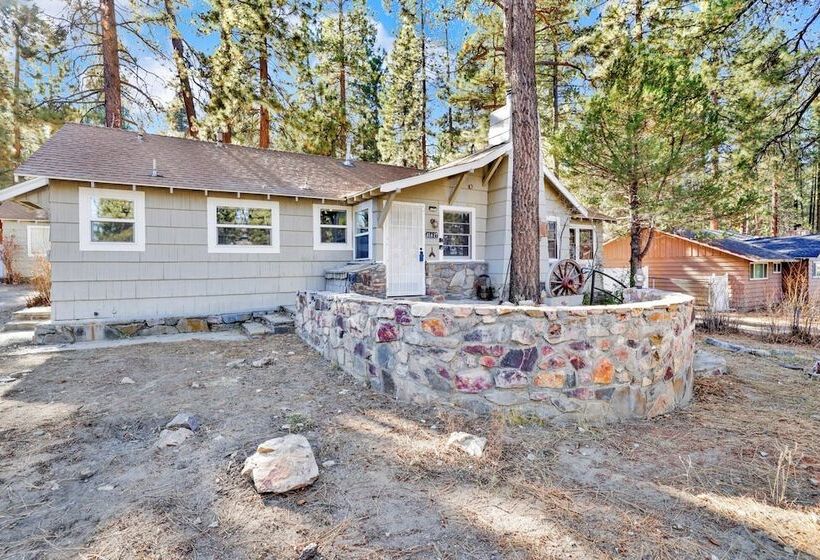 Brownie Family Retreat #2284