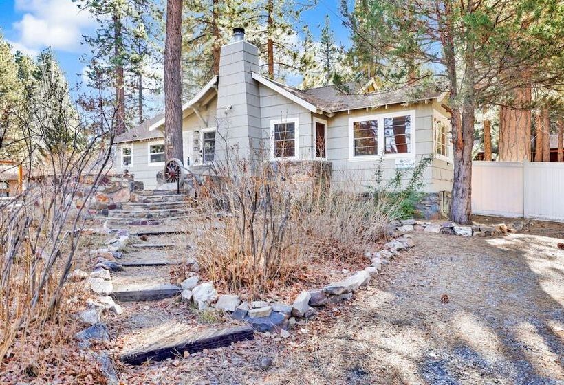 Brownie Family Retreat #2284