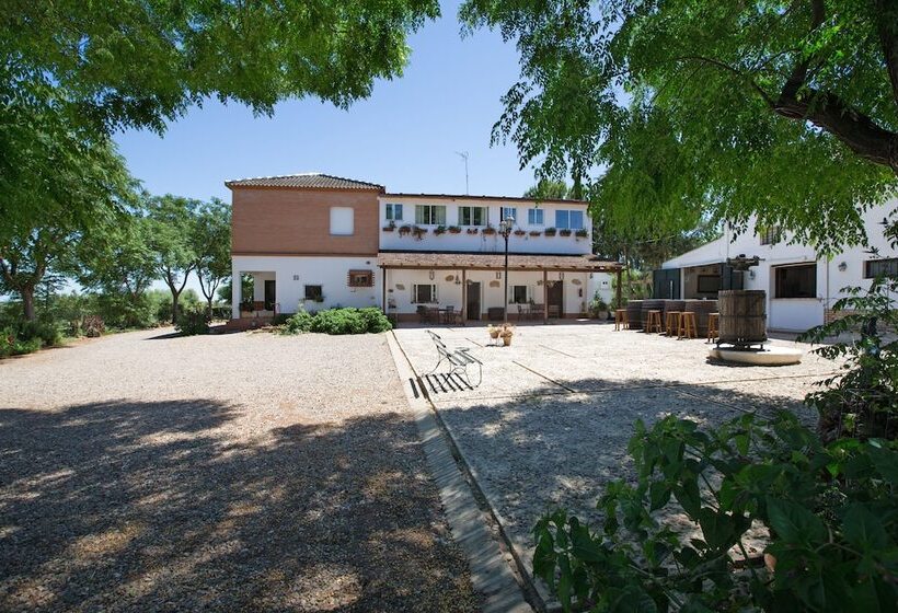 בית מלון כפרי Cerros Bravo De Donana