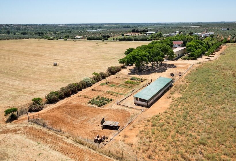 בית מלון כפרי Cerros Bravo De Donana