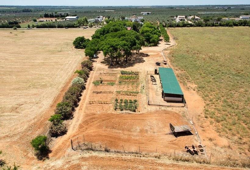 בית מלון כפרי Cerros Bravo De Donana