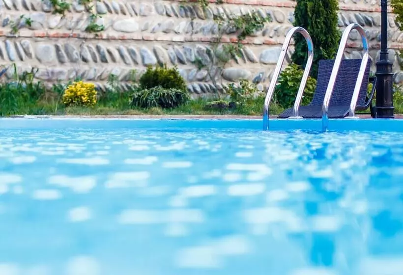 هتل Gino Wellness Mtskheta