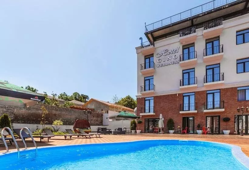 هتل Gino Wellness Mtskheta