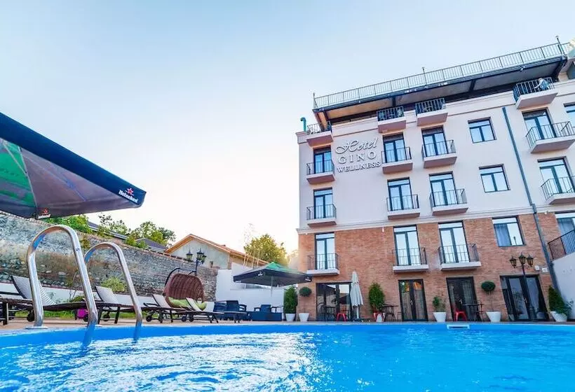 هتل Gino Wellness Mtskheta
