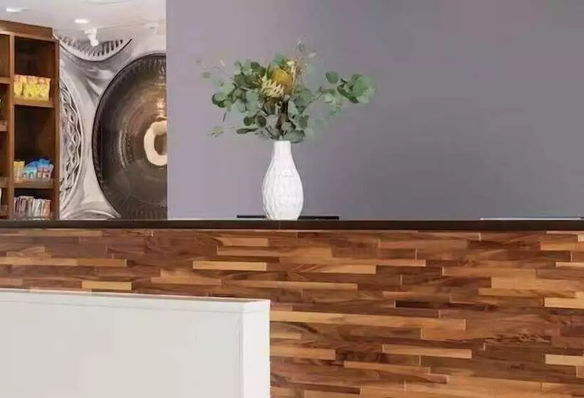 ホテル Hampton Inn By Hilton Ocoee Orlando