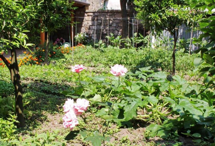 تختخواب و صبحانه Chez Chantal