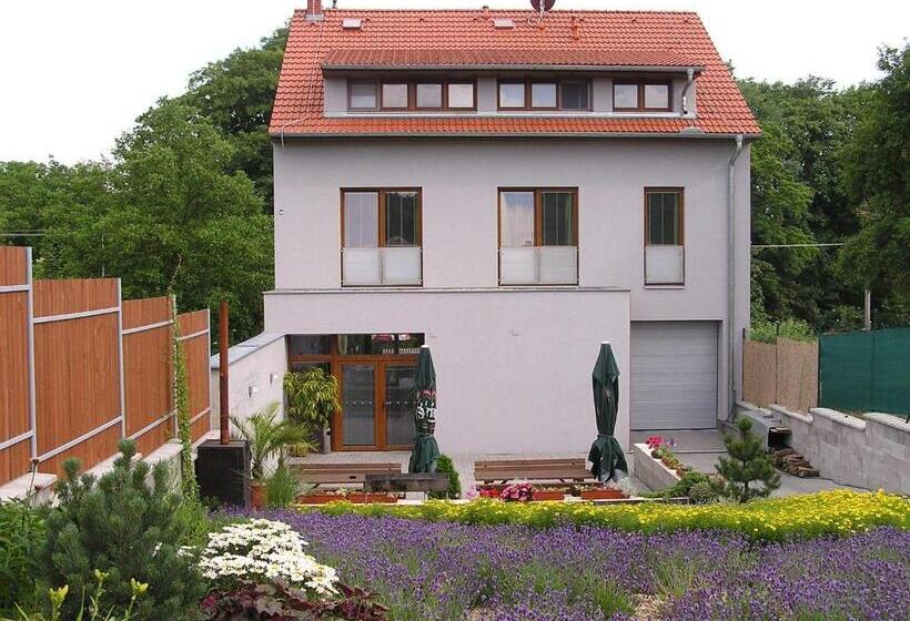 بنسيون Penzion Ruland