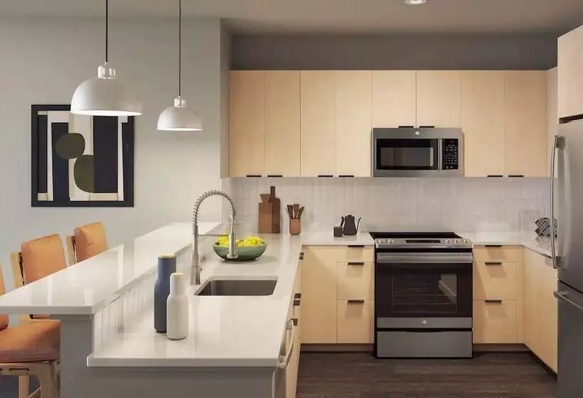 Luxury Apartments By Hyatus At The Asher