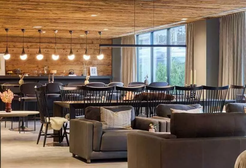 Luxury Apartments By Hyatus At The Asher