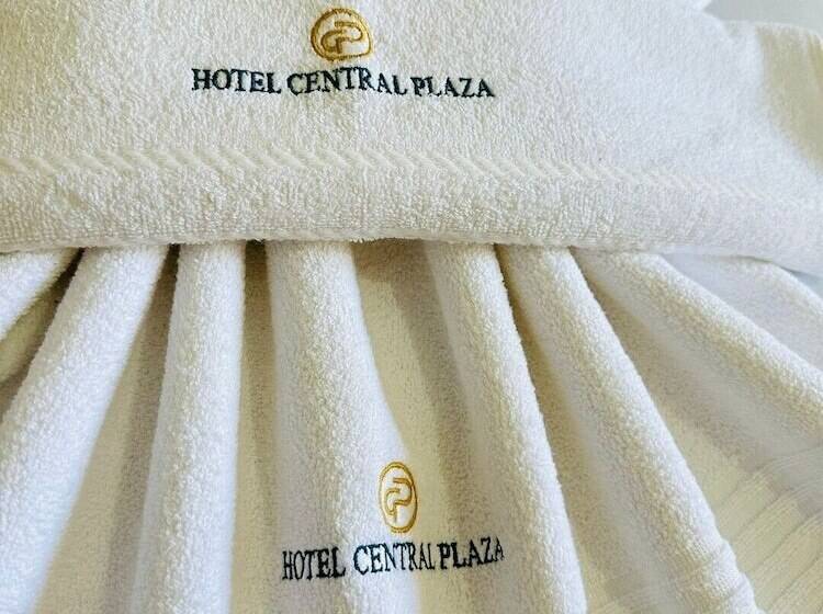 호텔 Central Plaza Timóteo