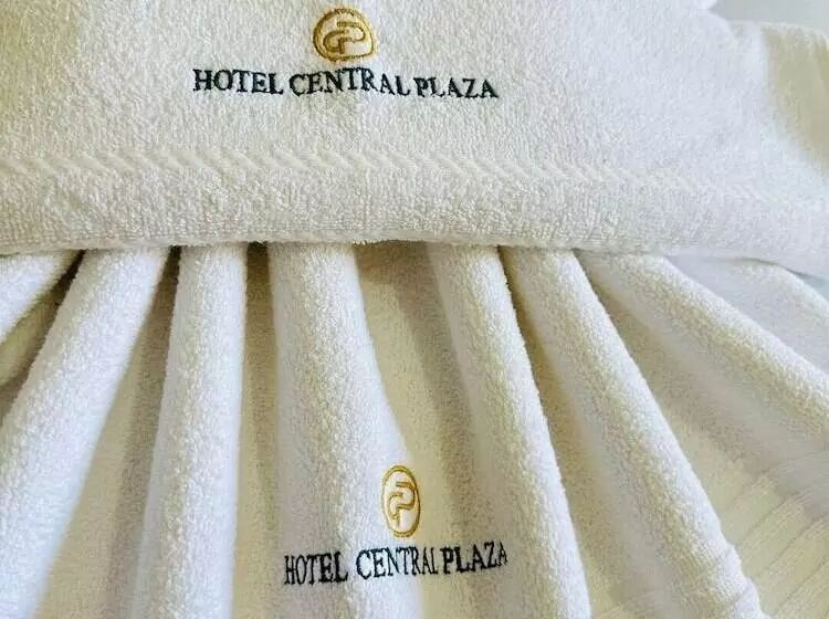 Hotelli Central Plaza Timóteo