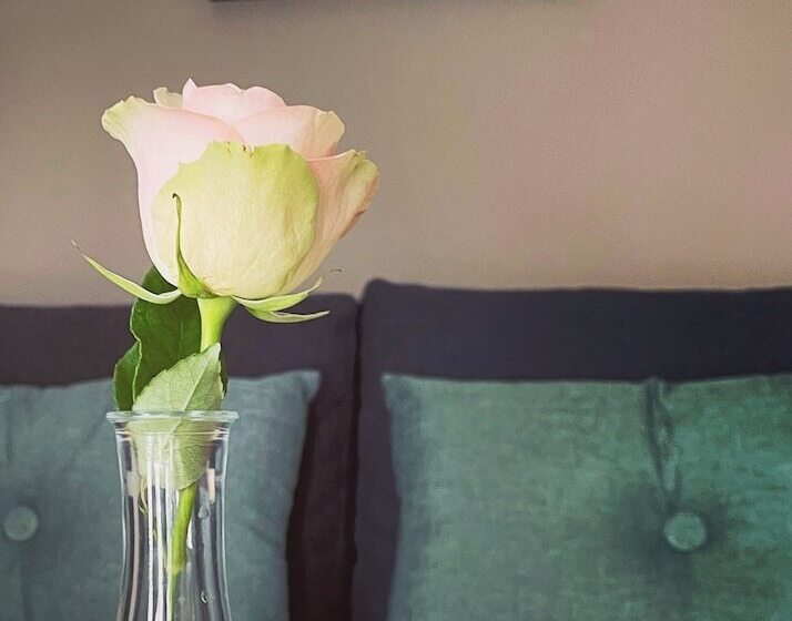 膳宿费 Beach Camp