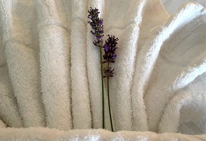 膳宿费 Beach Camp