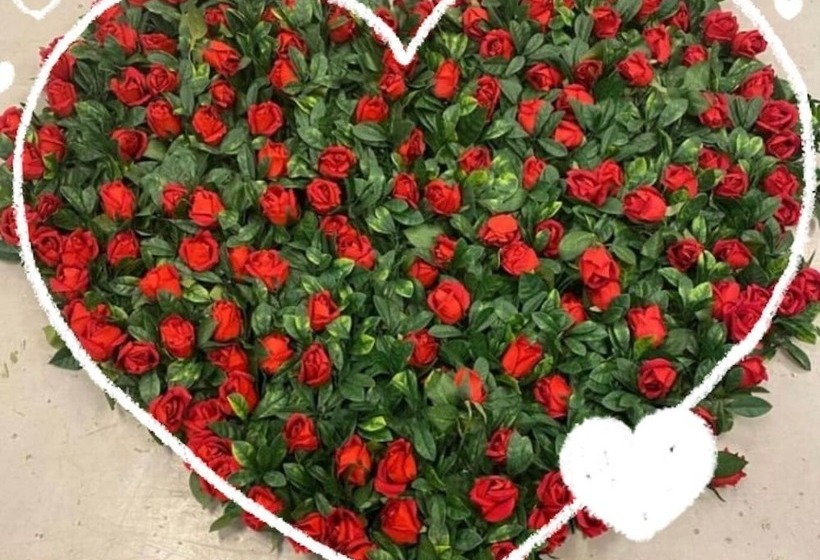 膳宿费 Beach Camp