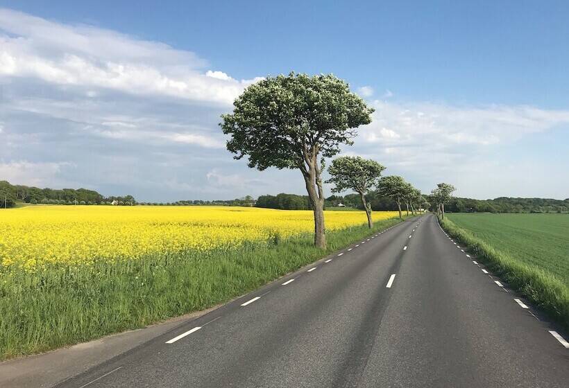 膳宿费 Beach Camp