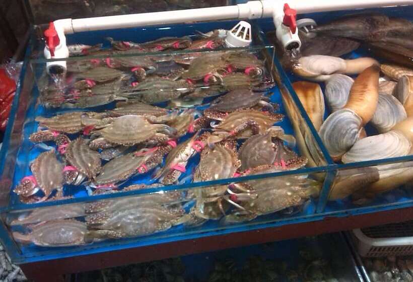 ユースホステル Haibianke Old Street