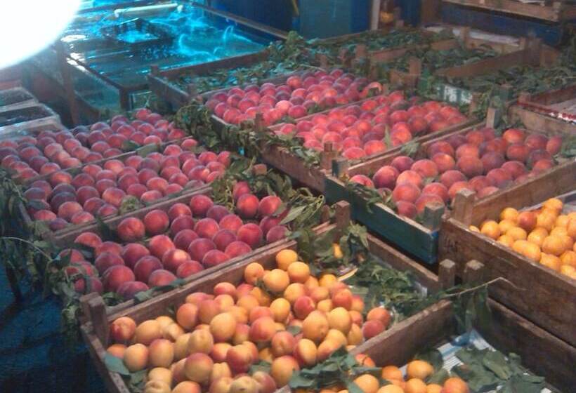 ユースホステル Haibianke Old Street